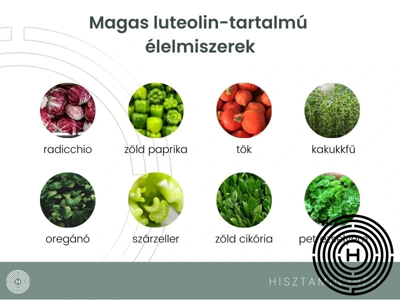 Magas luteolin tartalmú hisztaminszegeny élelmiszerek: radicchio, zöld paprika, tök, kakukkfű, oregano, szárzeller, zöld cikória, petrezselyem