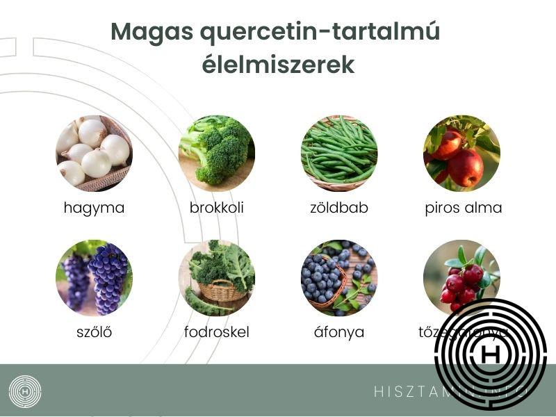 magas quercetin tartalmú élelmszerek infografika