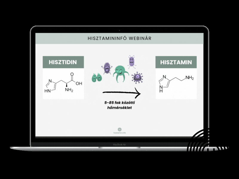 Hisztamininfó webinár