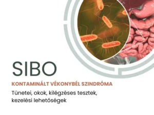 SIBO cikk