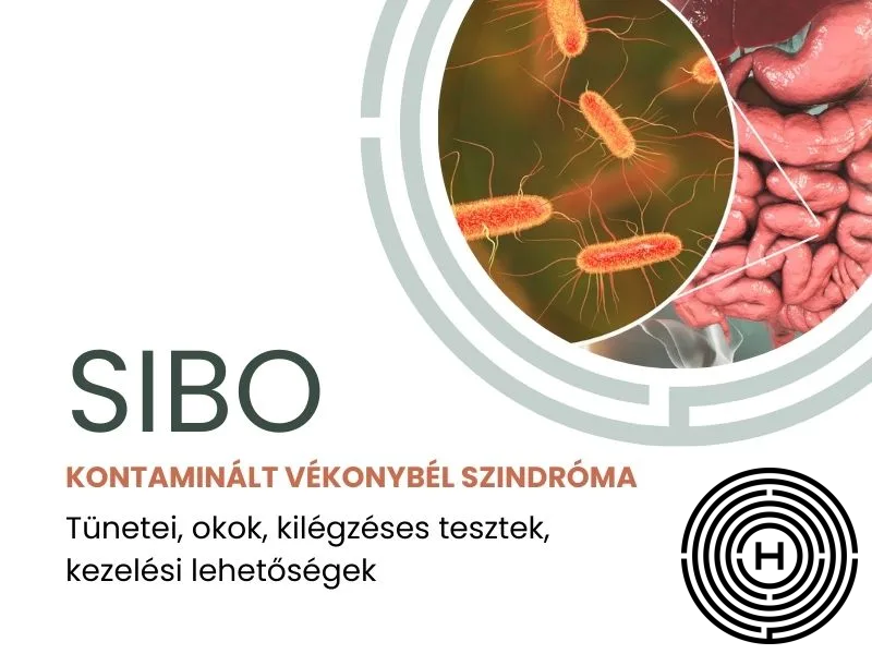 SIBO cikk