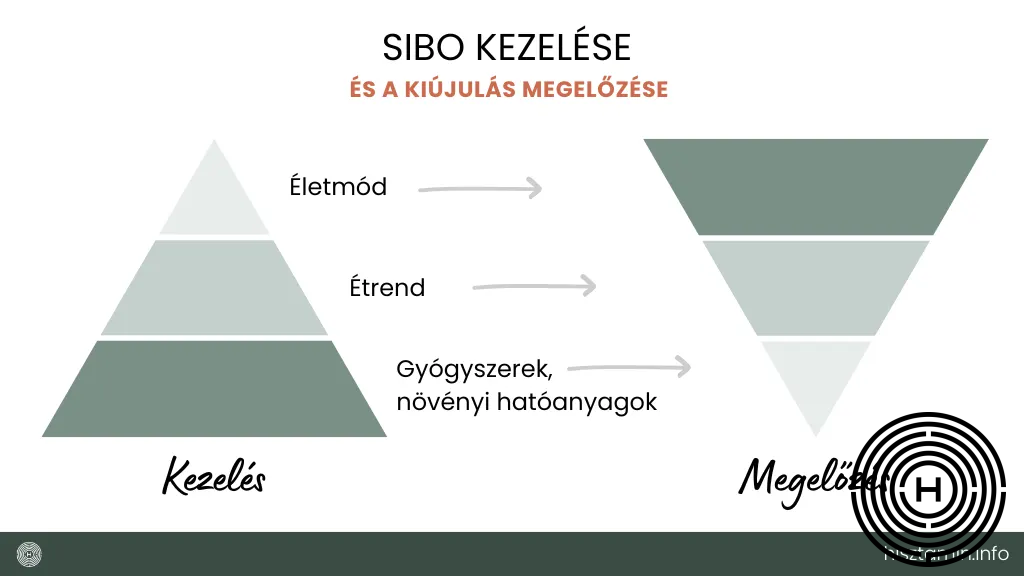 SIBO kezelése és megelőzése infografika