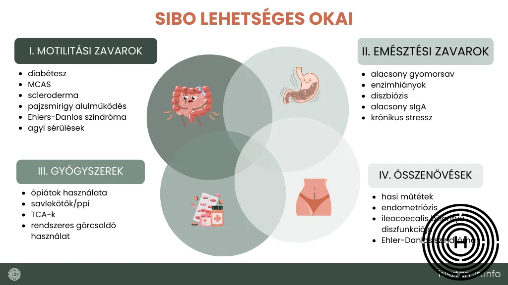SIBO okai infografika
